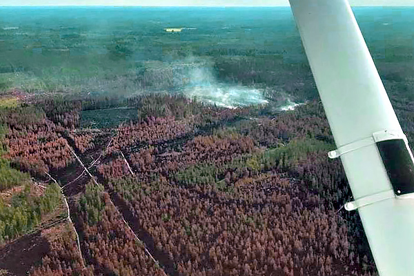 Metsäpalosta nouseva savu kuvattuna lentokoneen ikkunasta.